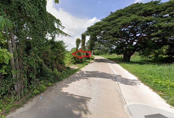 ขายที่ดิน 4 ไร่ 44 ตร.ว. ติดถนนเลียบคลอง บึงพระ เมืองพิษณุโลก ที่สวยมาก โทร 094-8518558 (รูปที่ 5)