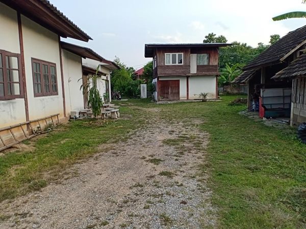 ขายที่ดินพร้อมบ้าน ทำเลทอง เนื้อที่ 290 ตร.ว. บ้านตองกาย อ.หางดง จ.เชียงใหม่ ใกล้ไนท์ซาฟารีและราชพฤกษ์ บรรยากาศดีมาก โทร 0956530192 (รูปที่ 3)