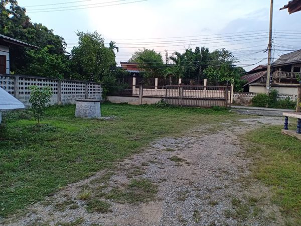 ขายที่ดินพร้อมบ้าน ทำเลทอง เนื้อที่ 290 ตร.ว. บ้านตองกาย อ.หางดง จ.เชียงใหม่ ใกล้ไนท์ซาฟารีและราชพฤกษ์ บรรยากาศดีมาก โทร 0956530192 (รูปที่ 6)
