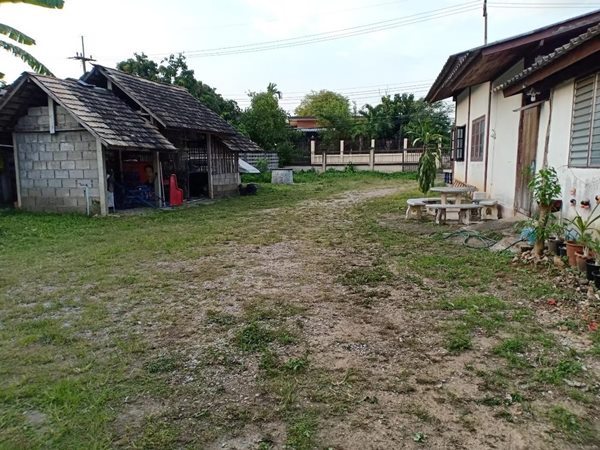 ขายที่ดินพร้อมบ้าน ทำเลทอง เนื้อที่ 290 ตร.ว. บ้านตองกาย อ.หางดง จ.เชียงใหม่ ใกล้ไนท์ซาฟารีและราชพฤกษ์ บรรยากาศดีมาก โทร 0956530192 (รูปที่ 4)