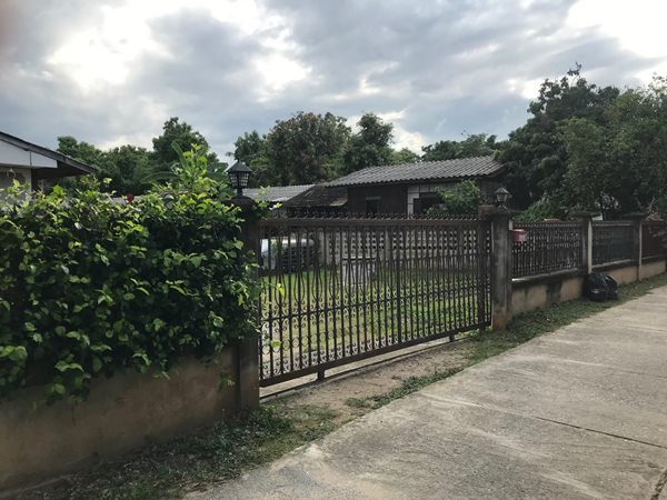 ขายที่ดินพร้อมบ้าน ทำเลทอง เนื้อที่ 290 ตร.ว. บ้านตองกาย อ.หางดง จ.เชียงใหม่ ใกล้ไนท์ซาฟารีและราชพฤกษ์ บรรยากาศดีมาก โทร 0956530192 (รูปที่ 5)