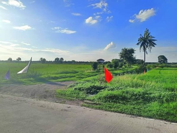 ที่ดินถูกคลอง 4 คลองหลวง มีแปลง สด ผ่อน..T.062-1574449 (รูปที่ 3)