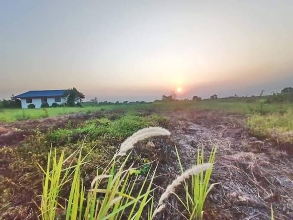 ที่ดินคลอง6 อ.คลองหลวง ปทุมธานี T.062-1574449 สดโฉนดพร้อมโอน (รูปที่ 7)