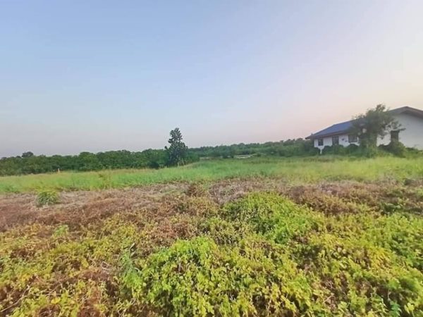 ที่ดินคลอง6 อ.คลองหลวง ปทุมธานี T.062-1574449 สดโฉนดพร้อมโอน (รูปที่ 6)