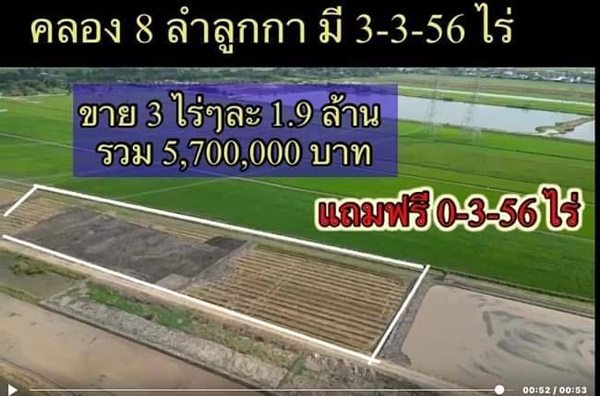 ซื้อ 3 ไร่ แถมฟรีให้อีก 356 วา ที่ลำลูกกาคลอง8 เจ้าของขายเท T.062-1574449 (รูปที่ 3)