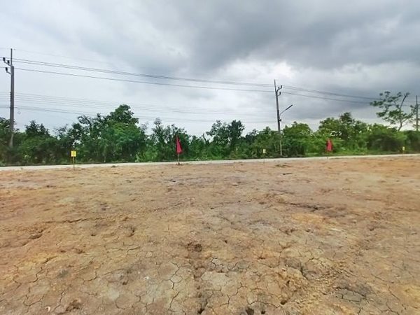 สบายใจในทุกเรื่อง ที่ดินแปลงเล็กถมแล้ว ราคาเบา น้ำไฟผ่าน มีเพื่อนบ้าน ที่คลอง8 หนองเสือ T.062-1574449 (รูปที่ 3)