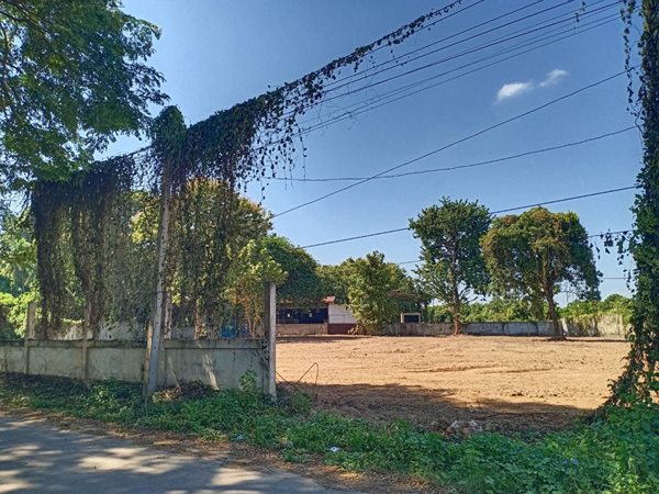 ขายที่ดิน เมืองพิษณุโลก สวยมาก เหมาะสำหรับทำโครงการหมู่บ้าน โกดัง โรงงาน บ้านพักอาศัย โทร 094-8518558 (รูปที่ 3)