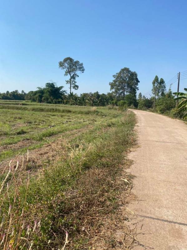 ขายที่ดิน 7 ไร่ อ.ศรีมหาโพธิ จ.ปราจีนบุรี ขายถูกมาก น้ำ ไฟฟ้า เข้าถึง โทร 0863273006 (รูปที่ 2)