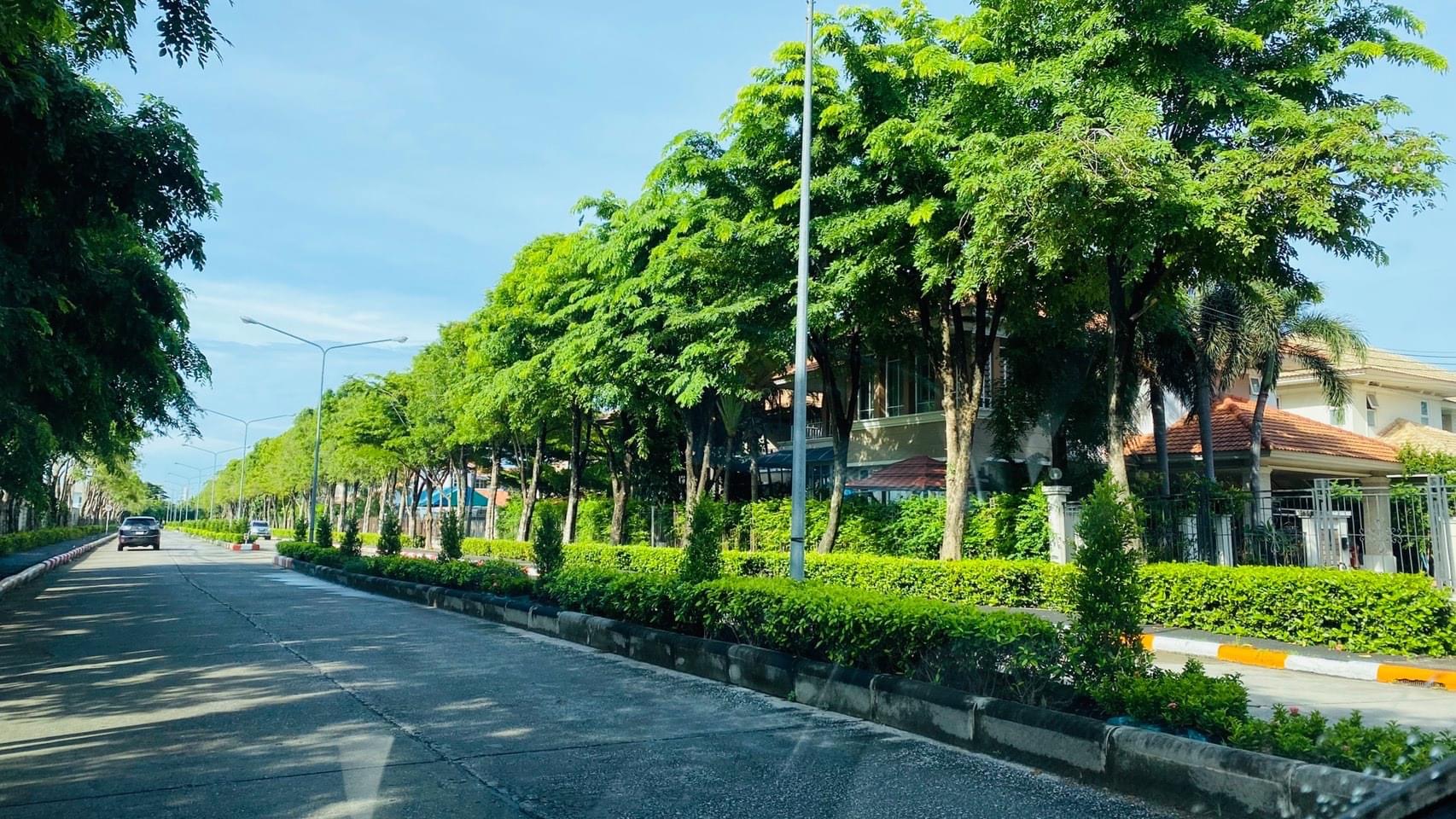 บ้านเดี่ยว วราบดินทร์ วงแหวน-ลำลูกกา คลอง5 ติดถนนใหญ่ (รูปที่ 18)