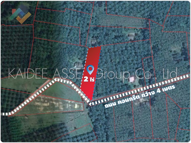 ที่ดิน ท่าแซะ ชุมพร สวน ปาล์ม ใกล้ถนน เพชรเกษม ราคาถูก (รูปที่ 3)