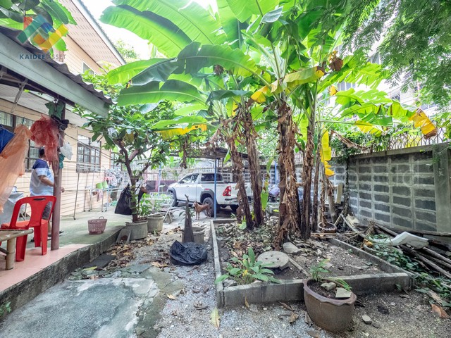 บ้านเดี่ยว ซอย วงศ์สว่าง 11 บางซื่อ พระราม 7 (รูปที่ 4)