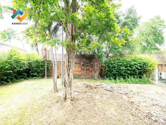 บ้านเดี่ยว หมู่บ้าน ชัยพฤกษ์ 1 ถนน 345 บางคูวัด ปทุมธานี (รูปที่ 5)