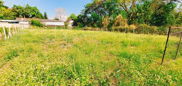 ขายที่ดินเปล่า ในตัวเมืองเชียงใหม่ สำหรับคนที่สนใจอยากปลูกบ้านในเมืองใกล้สถานที่สำคัญ และราคาไม่แรง โทร 0995693546 (รูปที่ 2)