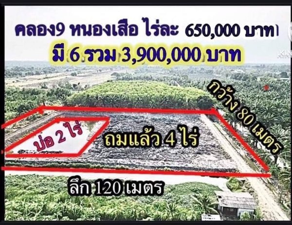 เจ้าของรีบ ขายถูกขายด่วน ลดเหลือไร่ละ.620,000บาท.ที่คลอง9 T.062-1574449 (รูปที่ 2)