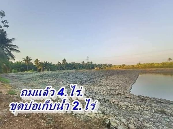 เจ้าของรีบ ขายถูกขายด่วน ลดเหลือไร่ละ.620,000บาท.ที่คลอง9 T.062-1574449 (รูปที่ 3)