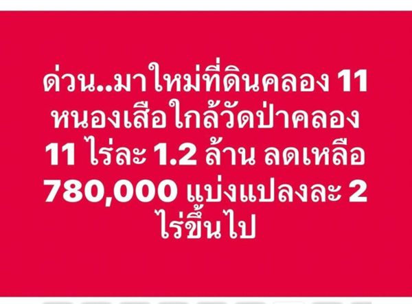 ถูกจัด เจ้าของรีบขาย แบ่งจ่ายได้ ที่ดินคลอง11 หนองเสือ T.062-1574449 (รูปที่ 13)
