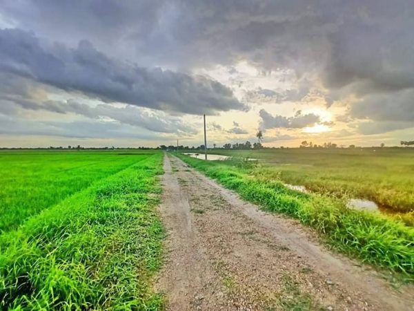 แหล่งชุมชน ใกล้ความเจริญ ทั้งถูก ทั้งลด ทั้งแถม โปรแรง ที่ดิน ลำลูกกา คลอง8. T.062-1574449 (รูปที่ 3)