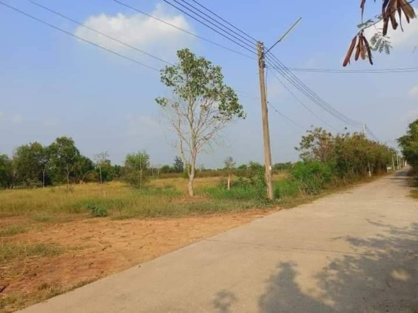ที่ดินคลอง10 ถมสูงเสมอถนน สาธารณูปโภค พร้อมอยู่ เขตเทศบาล น่าจับจองของเค้าดี T.062-1574449 (รูปที่ 3)