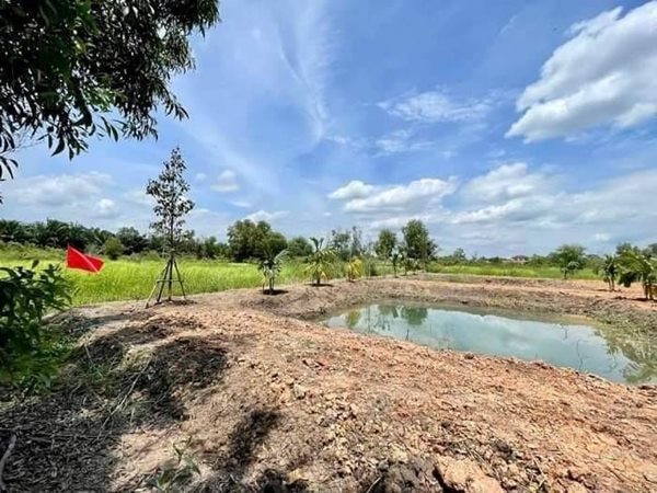 ที่ดินคลอง10 ถมสูงเสมอถนน สาธารณูปโภค พร้อมอยู่ เขตเทศบาล น่าจับจองของเค้าดี T.062-1574449 (รูปที่ 10)