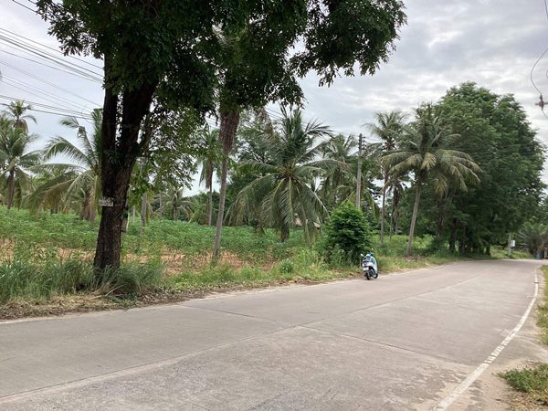 ขายที่ดินเปล่า 7 ไร่ 54 ตร.ว. ต.ตะเคียนเตี้ย อ.บางละมุง จ.ชลบุรี ใกล้แหล่งท่องเที่ยวมากมาย น่าลงทุน โทร 082-547-9820 (รูปที่ 2)