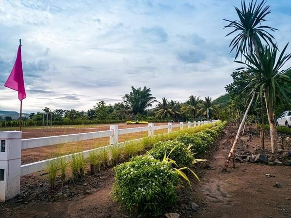 สุข-เกษมเปรมปรี ที่ดินวิวเขาโอบล้อม 360 องศา ณ. เพชรบุรี T.062-1574449 (รูปที่ 7)
