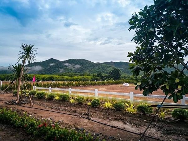 สุข-เกษมเปรมปรี ที่ดินวิวเขาโอบล้อม 360 องศา ณ. เพชรบุรี T.062-1574449 (รูปที่ 3)