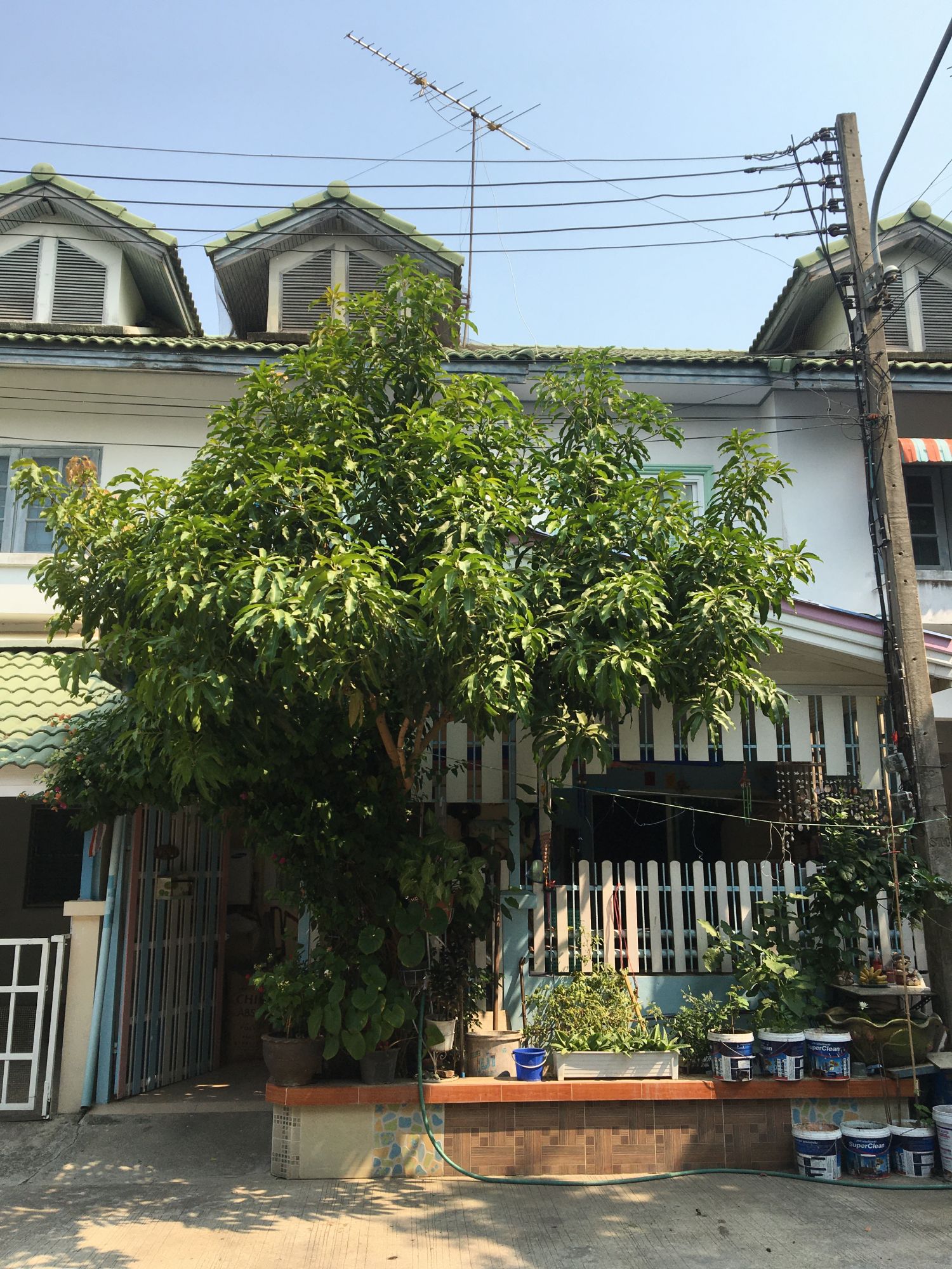 ทาวน์เฮ้าส์ หมู่บ้านนริศรา รังสิตคลอง11 ถูกสุดในทำเล