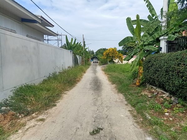 ขายที่ดิน ทำเลดี ใกล้ Central Westville ในซอยวัดบางไกรใน อ.บางกรวย จ.นนทบุรี แปลงสวย สี่่เหลี่ยมผืนผ้า โทร 093-543-5103 (รูปที่ 5)