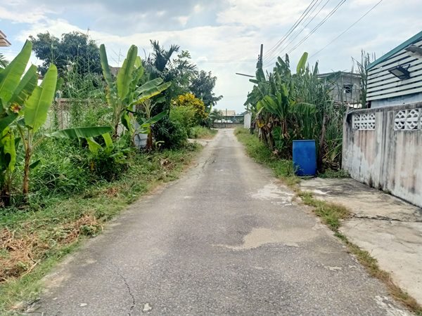 ขายที่ดิน ทำเลดี ใกล้ Central Westville ในซอยวัดบางไกรใน อ.บางกรวย จ.นนทบุรี แปลงสวย สี่่เหลี่ยมผืนผ้า โทร 093-543-5103 (รูปที่ 6)