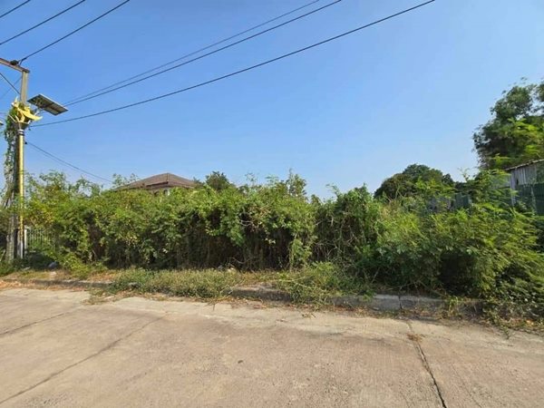 ขายที่ดิน สมุทรปราการ แปลงสวย ถมแล้ว 185ตรว. หมู่บ้านกรีนเลค บางนา-ตราด ราคาดี เข้าออกสะดวก โทร 063-7894632 (รูปที่ 6)