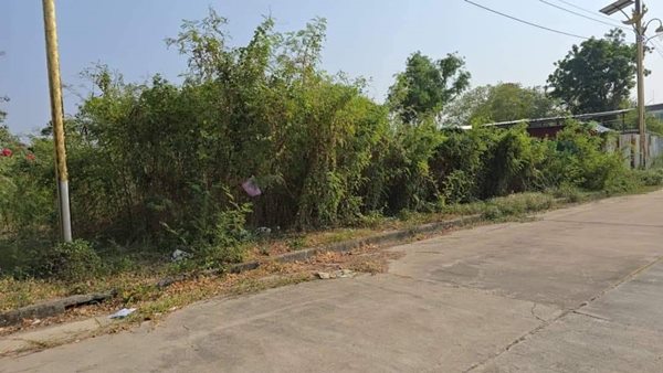ขายที่ดิน สมุทรปราการ แปลงสวย ถมแล้ว 185ตรว. หมู่บ้านกรีนเลค บางนา-ตราด ราคาดี เข้าออกสะดวก โทร 063-7894632 (รูปที่ 3)
