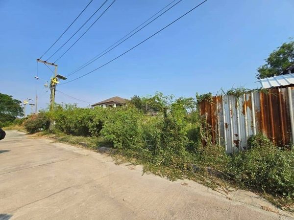 ขายที่ดิน สมุทรปราการ แปลงสวย ถมแล้ว 185ตรว. หมู่บ้านกรีนเลค บางนา-ตราด ราคาดี เข้าออกสะดวก โทร 063-7894632 (รูปที่ 5)
