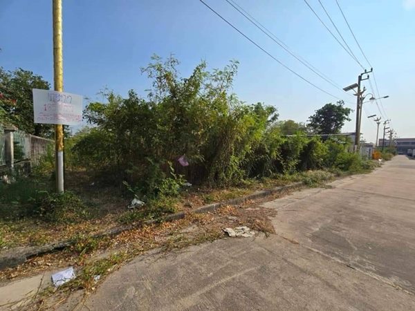 ขายที่ดิน สมุทรปราการ แปลงสวย ถมแล้ว 185ตรว. หมู่บ้านกรีนเลค บางนา-ตราด ราคาดี เข้าออกสะดวก โทร 063-7894632 (รูปที่ 4)