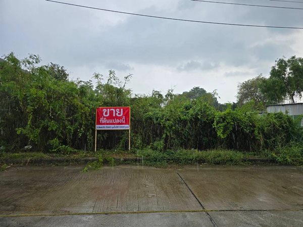 ขายที่ดิน สมุทรปราการ แปลงสวย ถมแล้ว 185ตรว. หมู่บ้านกรีนเลค บางนา-ตราด ราคาดี เข้าออกสะดวก โทร 063-7894632 (รูปที่ 2)