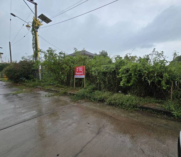 ขายที่ดิน สมุทรปราการ แปลงสวย ถมแล้ว 185ตรว. หมู่บ้านกรีนเลค บางนา-ตราด ราคาดี เข้าออกสะดวก โทร 063-7894632 (รูปที่ 7)