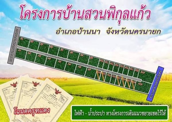 ที่ดินผ่อนได้ ไร้ดอก ที่พิกุลออกบ้านนา นครนายก สดผ่อนได้ ขายถูก! T.062-1574449 (รูปที่ 10)