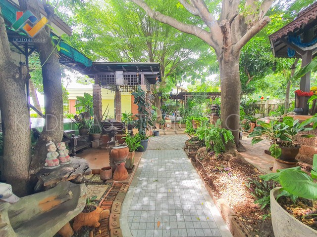 บ้านเดี่ยว หมู่บ้าน ดงไม้งาม บางใหญ่ คลองถนน นนทบุรี (รูปที่ 6)