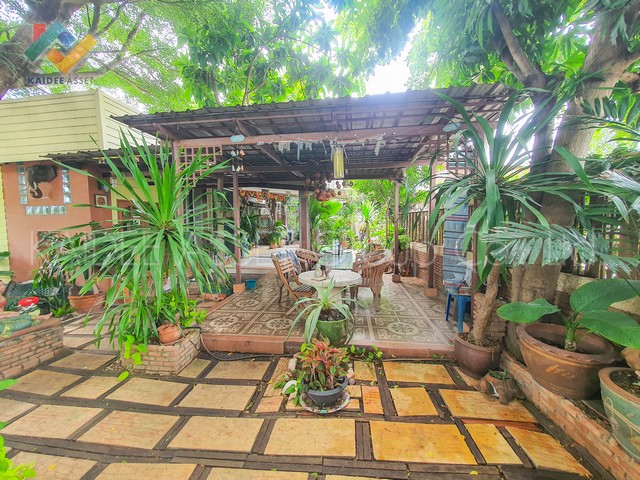 บ้านเดี่ยว หมู่บ้าน ดงไม้งาม บางใหญ่ คลองถนน นนทบุรี (รูปที่ 4)