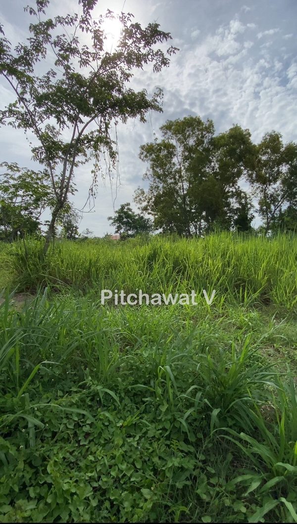 ขายที่ดิน 450 ตร.ว. หมู่บ้านปัญญา บางพระ ทำเลทอง อ.ศรีราชา จ.ชลบุรี เหมาะสร้างบ้านอยู่อาศัย โทร 063-469-5592 (รูปที่ 3)