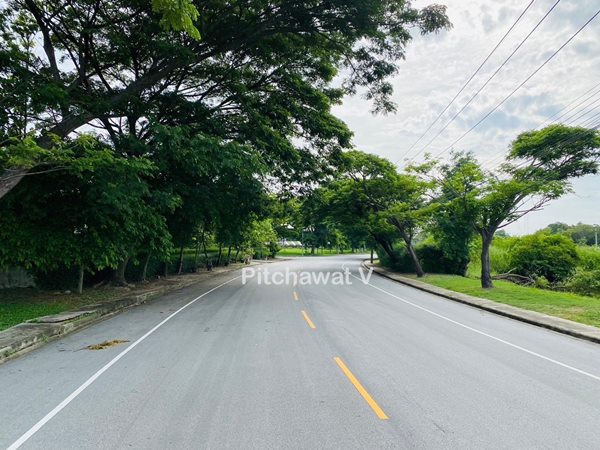 ขายที่ดิน 450 ตร.ว. หมู่บ้านปัญญา บางพระ ทำเลทอง อ.ศรีราชา จ.ชลบุรี เหมาะสร้างบ้านอยู่อาศัย โทร 063-469-5592 (รูปที่ 6)