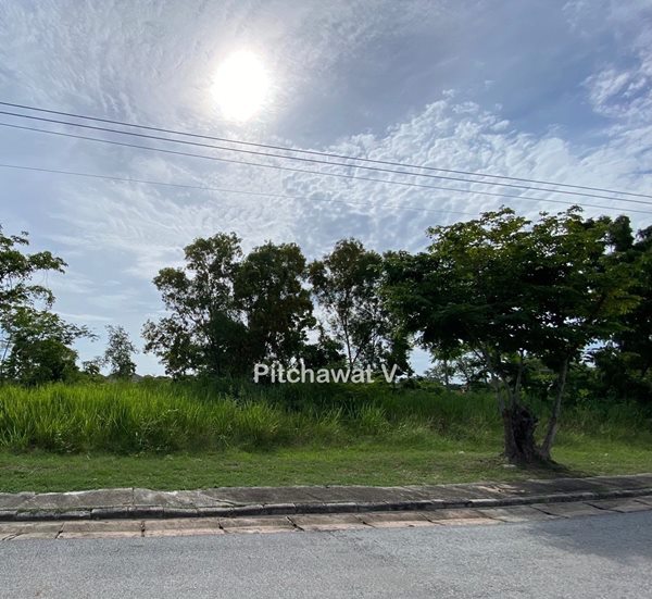ขายที่ดิน 450 ตร.ว. หมู่บ้านปัญญา บางพระ ทำเลทอง อ.ศรีราชา จ.ชลบุรี เหมาะสร้างบ้านอยู่อาศัย โทร 063-469-5592 (รูปที่ 2)
