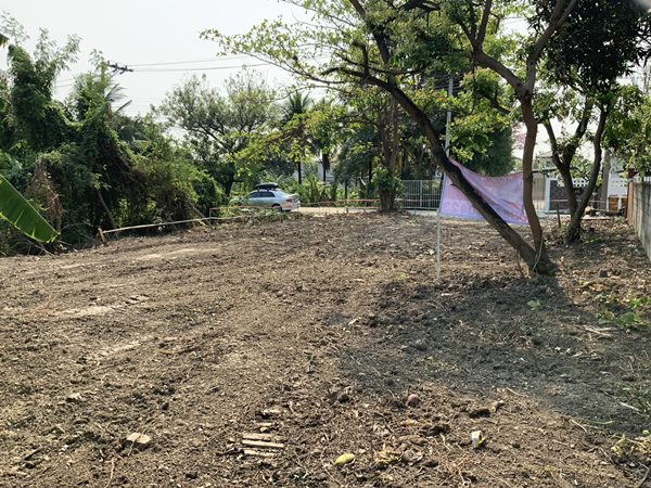 ขายที่ดิน บางใหญ่ ใกล้รถไฟฟ้า 99 วา 2.4 ล้าน 0864540423 (รูปที่ 3)