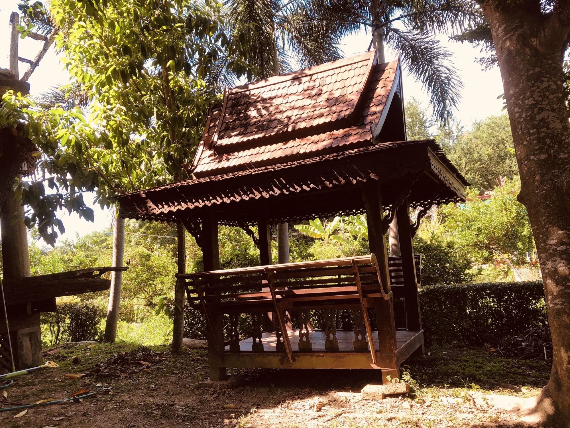 🛎ขายบ้านไม้พร้อมที่ดิน บรรยากาศธรรมชาติติดแม่น้ำ ร่มรื่นด้วยหลากหลายพรรณไม้ (รูปที่ 8)