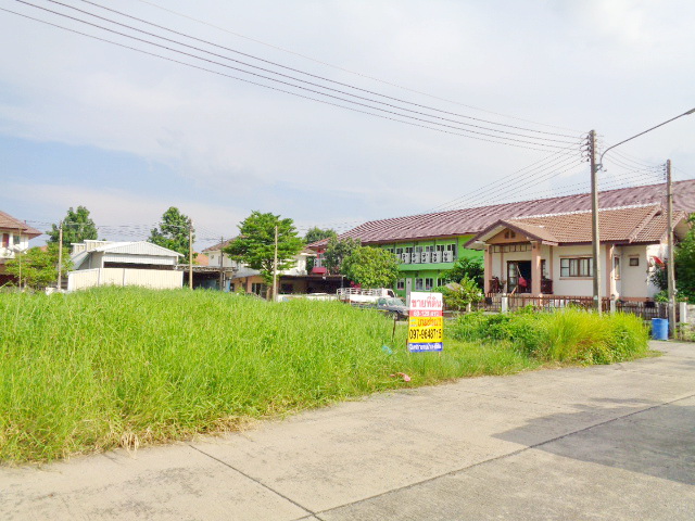 H905 ขายที่ดินจัดสรร ซอย รังสิต-นครนายก 54 แปลงมุม เนื้อที่ 60 ตารางวา ติดถนน 2 ด้าน (รูปที่ 12)