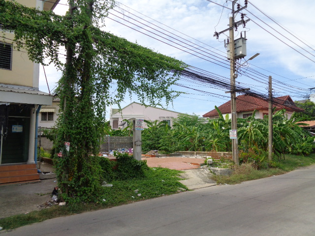 H1068 ขายด่วน ที่ดินแปลงสวย 51 ตารางวา ซอยชุมชนจุรินทร์จัดสรร ถนนบางกรวย-ไทรน้อย บางรักใหญ่ บางบัวทอง (รูปที่ 8)