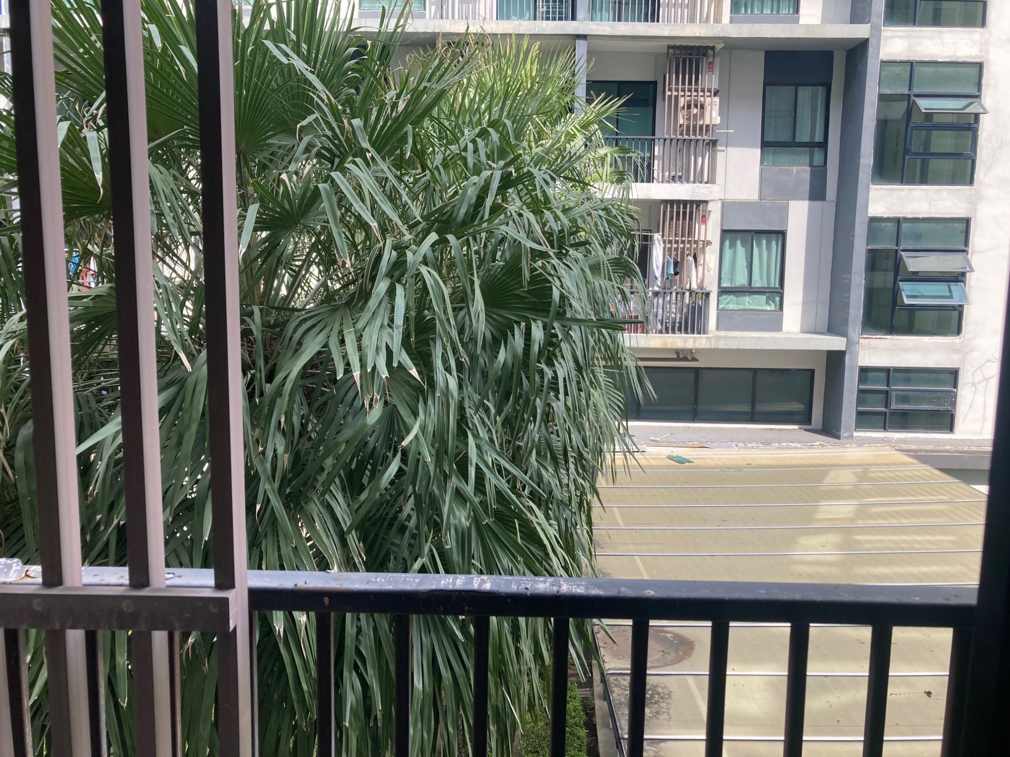 H1116 ขายด่วน ไอคอนโด สุขาภิบาล 2 ชั้น 3 I CONDO ติดถนนเสรีไทย ราคาถูกพร้อมเฟอร์ (รูปที่ 14)