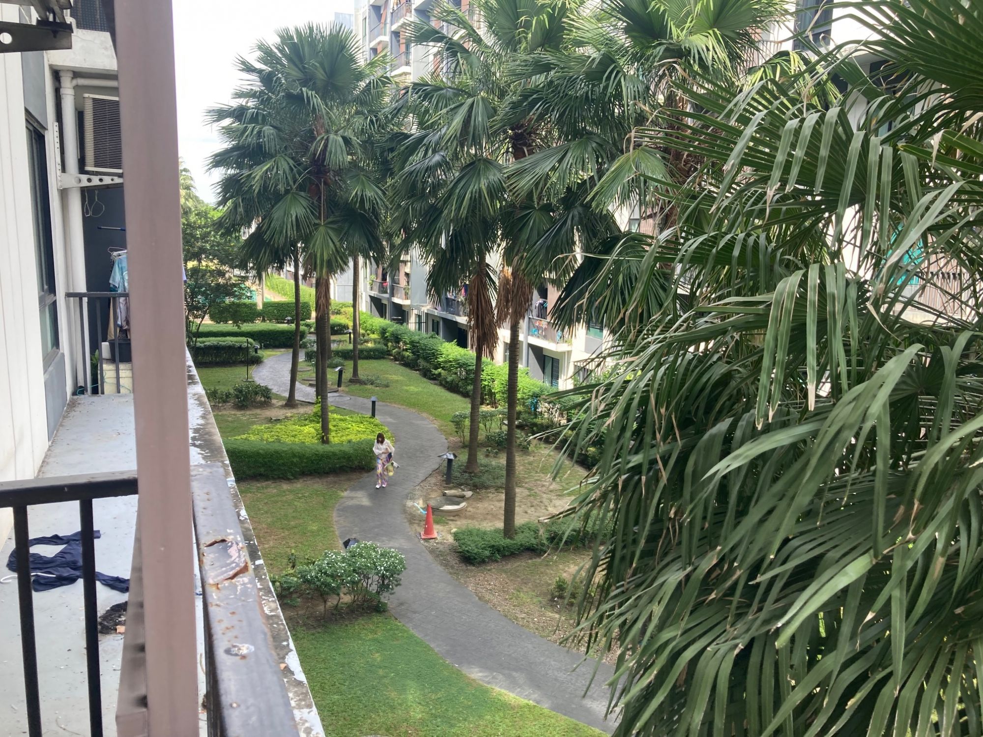H1116 ขายด่วน ไอคอนโด สุขาภิบาล 2 ชั้น 3 I CONDO ติดถนนเสรีไทย ราคาถูกพร้อมเฟอร์ (รูปที่ 13)