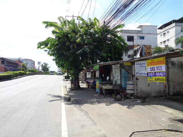H1139 ขายที่ดิน 202 ตารางวา ติดถนนใหญ่อ่อนนุช สุขุมวิท 77 (รูปที่ 14)