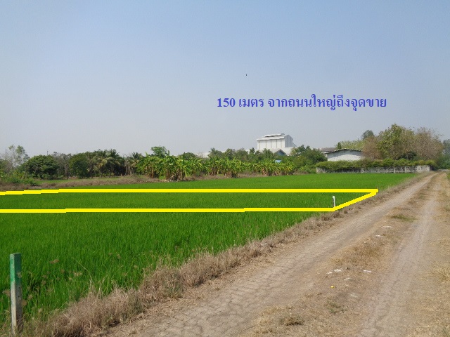 H1188 ขายที่ดินโฉนดครุฑแดง 99 ตารางวา ใกล้วิทยาลัยเทคนิคนนทบุรี ตำบลราษฎร์นิยม อำเภอไทรน้อย นนทบุรี (รูปที่ 7)