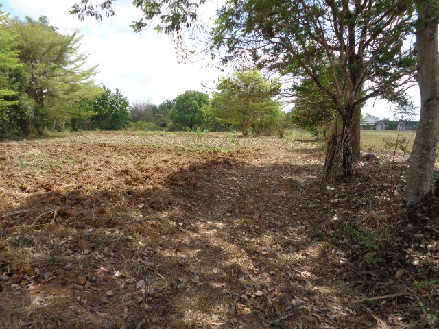 H1189 ขายที่ดิน ภ. บ. ท. 5 ติดถนนใหญ่ สายสระแก้ว - เขาหินซ้อน ก่อนถึงแยกวังท่าช้าง 2.6 กิโลเมตร หน้าทางเข้าวัดวังนาคาบารมีธรรม (รูปที่ 13)